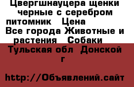 Цвергшнауцера щенки черные с серебром питомник › Цена ­ 30 000 - Все города Животные и растения » Собаки   . Тульская обл.,Донской г.